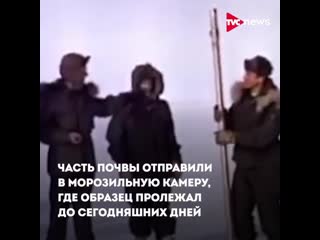 Древние растения подо льдами гренландии