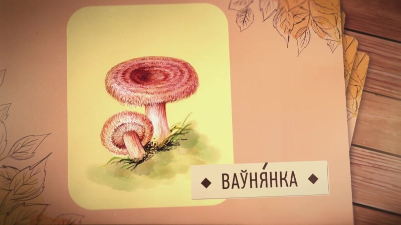 Мова са свабодай грыбы