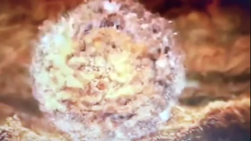 Оплодотворение яйцеклетки