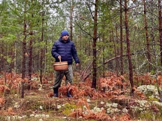 Грибная тропа порадовала грибника! белые грибы и подосиновики везде! грибы 2022