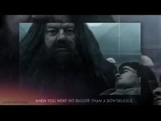 Hagrid and harry