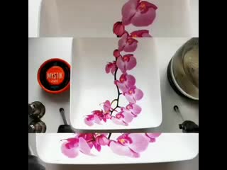 Tonya s25 20201221 44 mp4