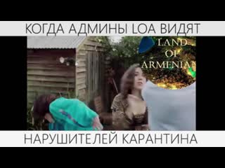 Реакция админов loa на нарушителей карантина