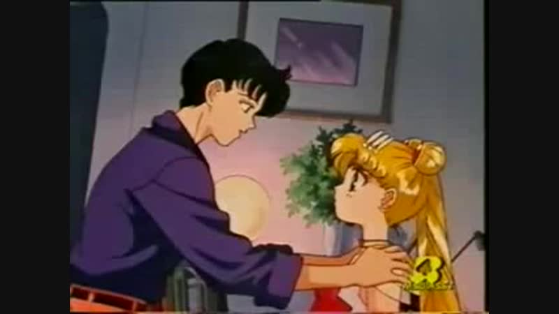 Сейя и усаги (sailor moon)