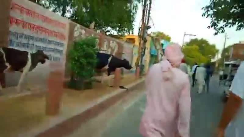 🌺 vrindavan parikrama on pandava ekadashi with srila bv vana maharaj