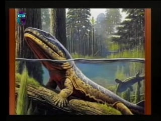 Эволюция молодые мира урок 5 выход на сушу крупнейший прорыв в эволюции