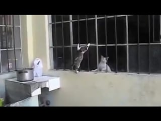 Любите и цените своих мам!