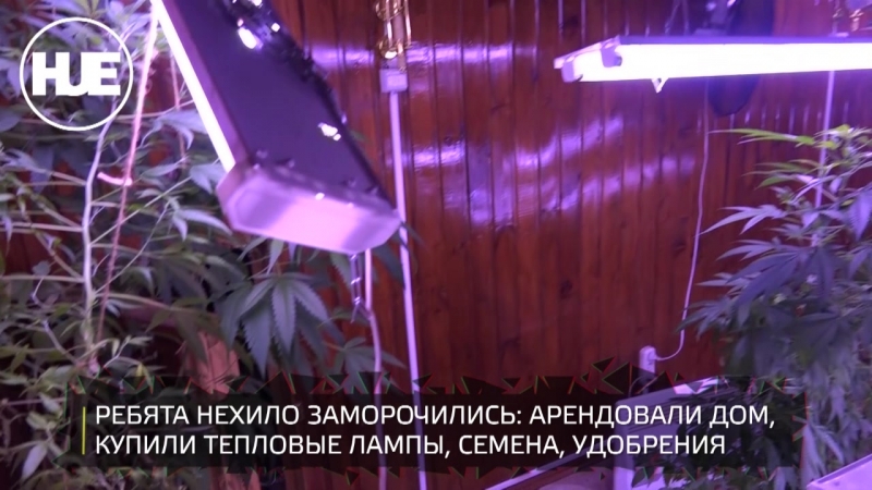 Подмосковные полицейские накрыли лабораторию по производству молодые