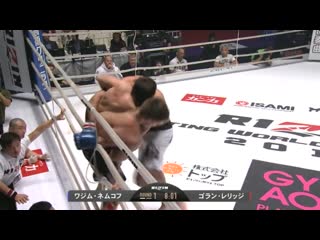 Vadim nemkov (russia) vs goran reljic (croatia) knockout, mma fight hd