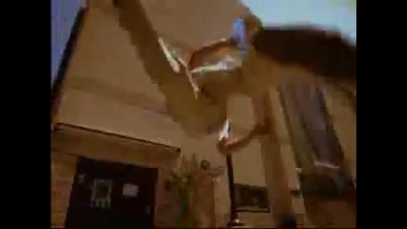 Capoeira commercial contre mestre cueca e prof ido