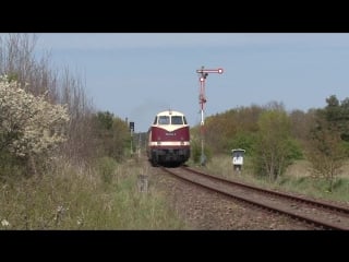 Fotozug mit der dicken 118 748 in der ruppiner heide