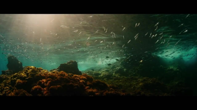 Evolution lucile hadzihalilovic (trailer)