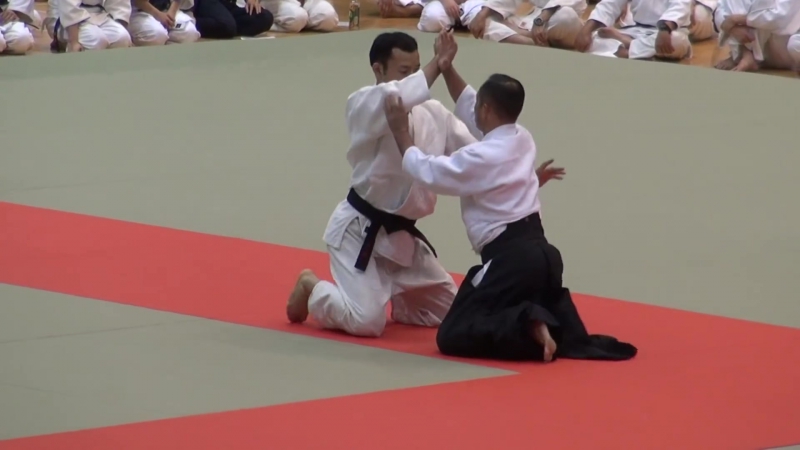 第60回演武会 養神館 合気道 龍 安藤先生 2015 demo yoshinkan aikido ryu ando sensei