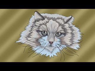 Cartoon style cat drawing in adobe illustrator time lapse art video by dks