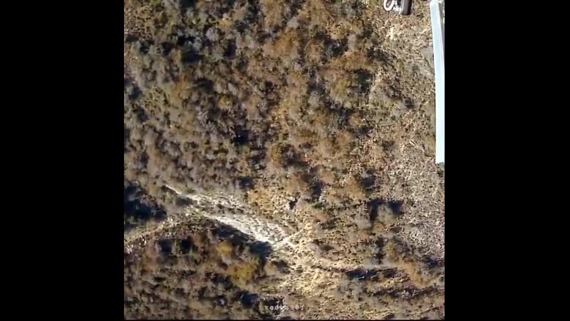 Чонгук как твой бро