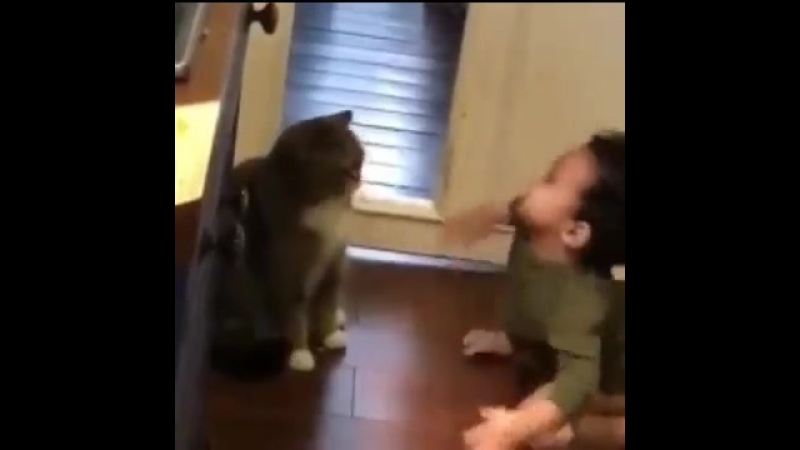 Усатый нянь