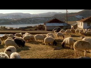 Нури бильге джейлан отчуждение \ nuri bilge ceylan uzak (2002,турция)