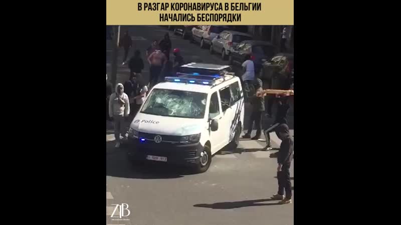 В разгар коронавируса в бельгии начались