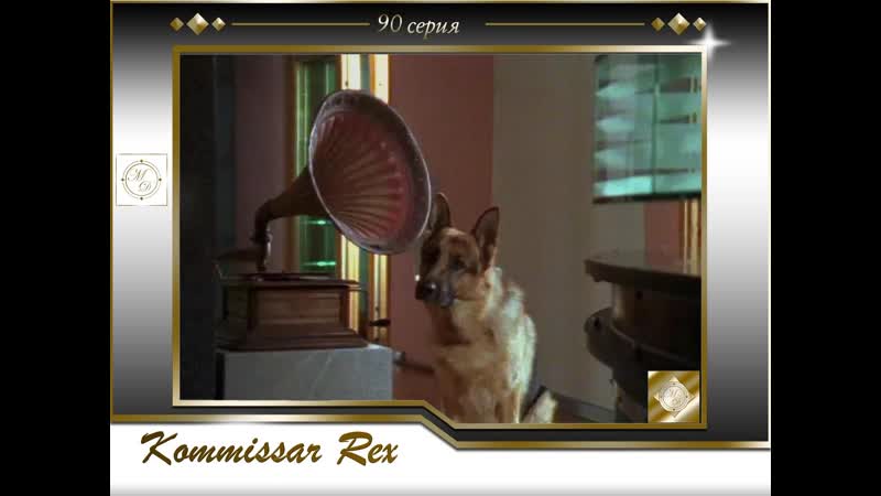 Komissar rex 8x02 tricks an der theke/ комиссар рекс 90 серия смертельные доказательства