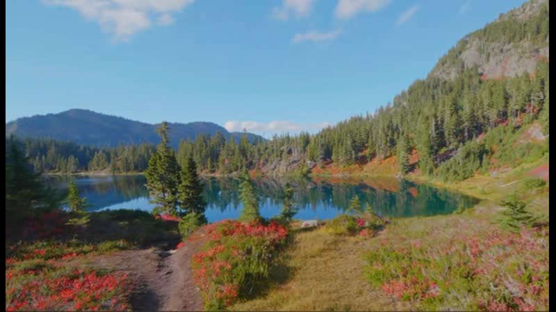 Прогулка по лесу рядом с рекой бейкер в штате вашингтон, сша