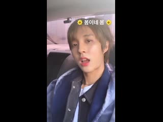 [instagram] holland vvv 20190406 новая история в инстаграме