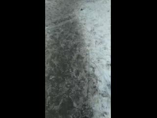 Vid 20201216 133522 mp4