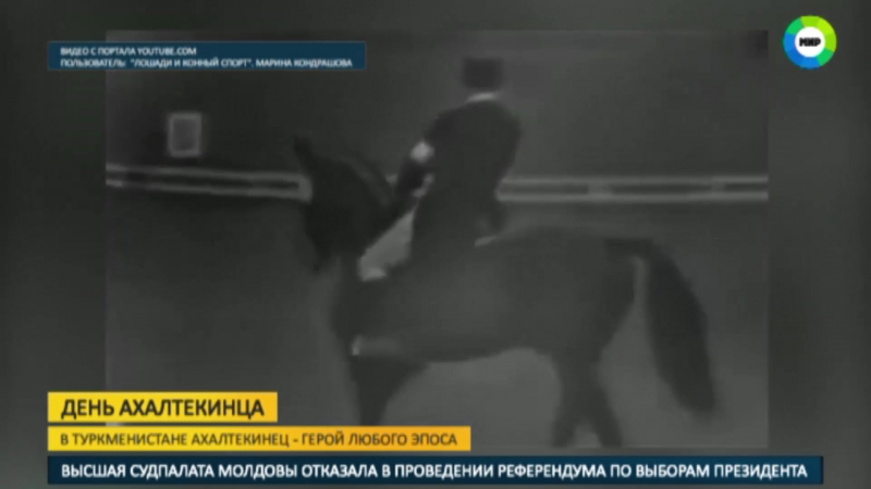 Достояние республики в туркменистане празднуют день ахалтекинского скакуна