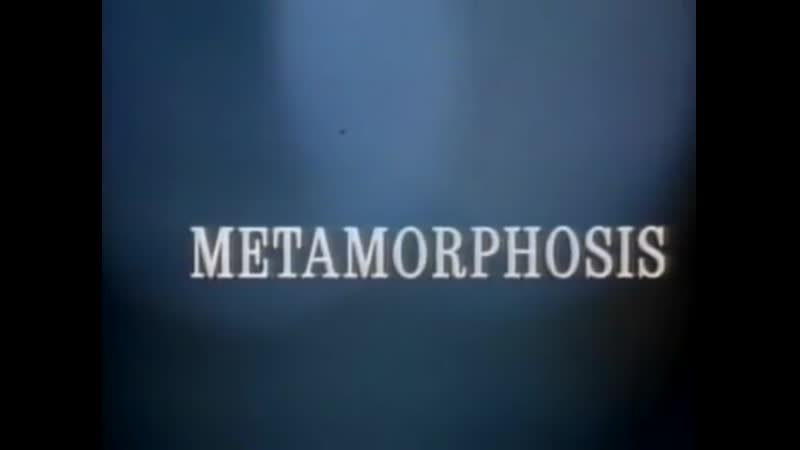 Метаморфоза / metamorphosis (1990) с переводом