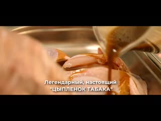 Цыпленок табака ролик 15