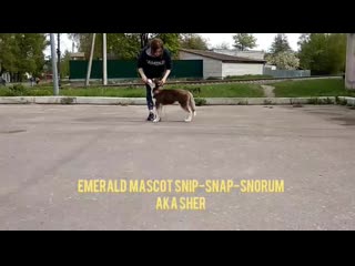 Emerald mascot ⭐ snip snap snorum 🔥