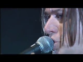 Einstürzende neubauten (paris 2010) selbstportrait mit kater