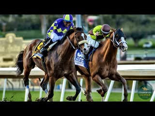 Яркий финиш santa anita handicap