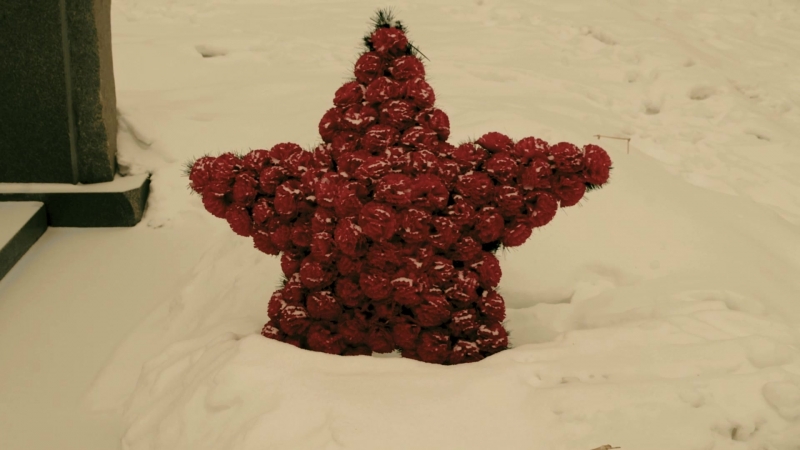 Мы памятью своей сильны