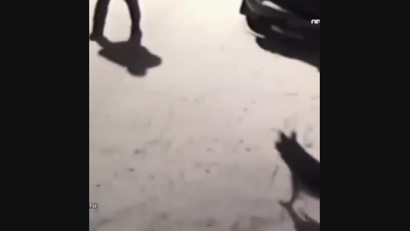 В ревде мужчину настигла мгновенная карма