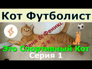 Футболист это спортивный кот серия 1 кот феня и феникс