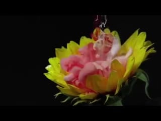 Сексуальные видео эротика музыка no porno full hammers ты же знаешь (cover modern talking) (фотограф nude, клип, sexy)