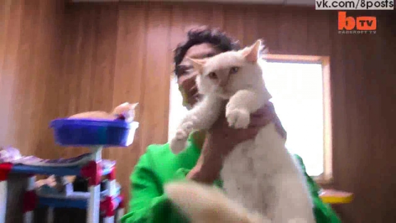 Безумная кошатница держит дома 1100 кошек / ultimate cat lady woman shares her home with 1,100 felines