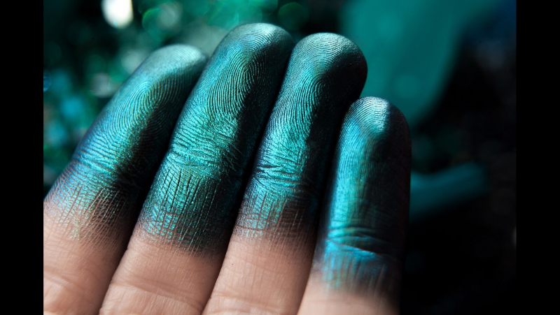 Tammy tanuka отрекшаяся