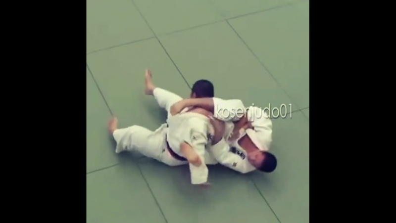Meanwhile porn video – Meanwhile in a kosen judo tournament
