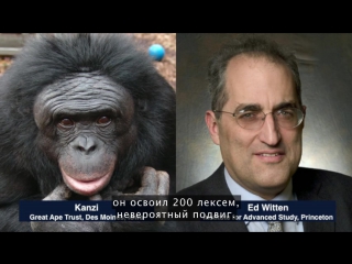 What happens when our computers get smarter than we are?