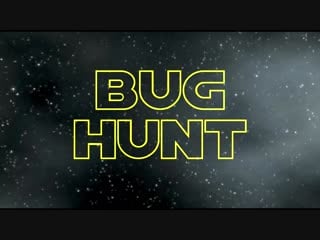 Bug hunt