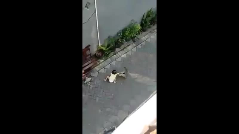 Пойдем со мной, человеческий детеныш