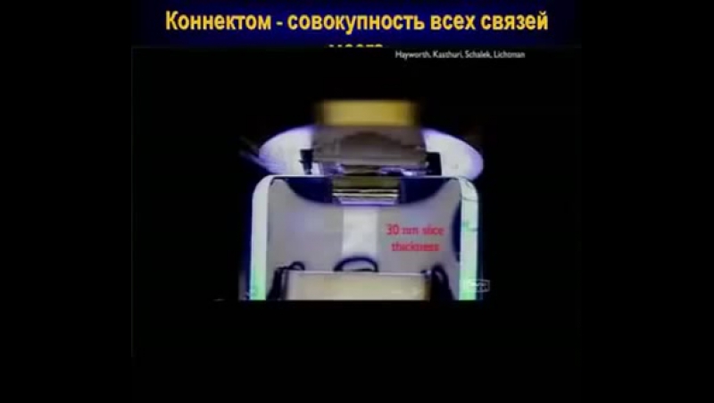 Анохин константин как воссоздать мозг человека