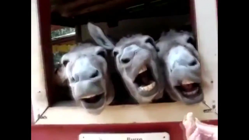 Ржачные приколы про молодые крики секс