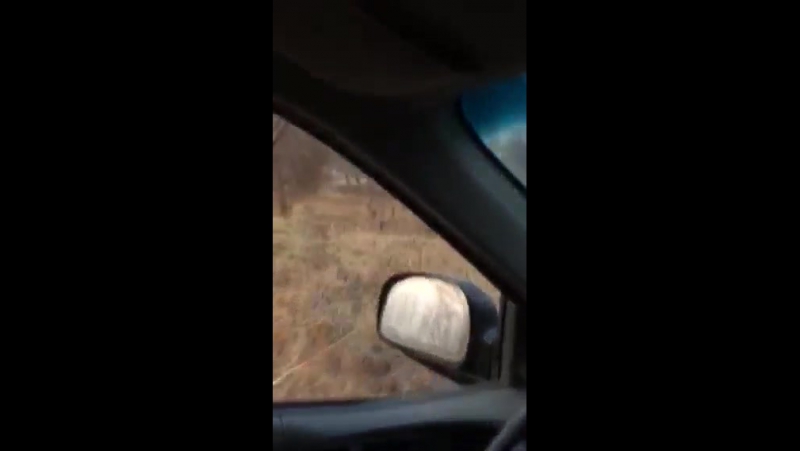 Охота на куропаток из рогатки!