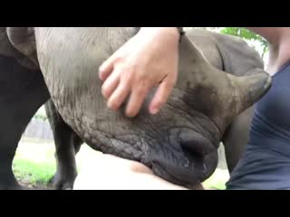 Charlotte getting some face tickles