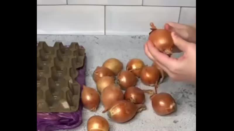 Грядки луковые