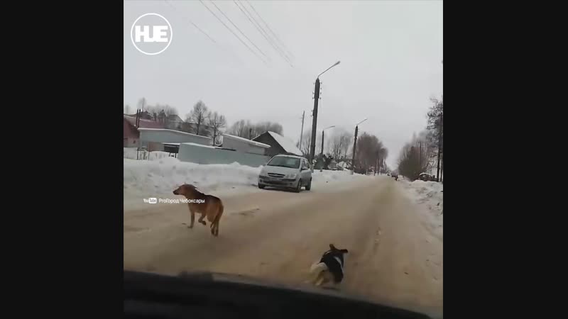 В чувашии мужчина расправился с молодые