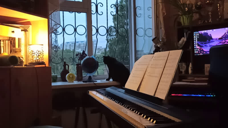 Yann tiersen wathing lara