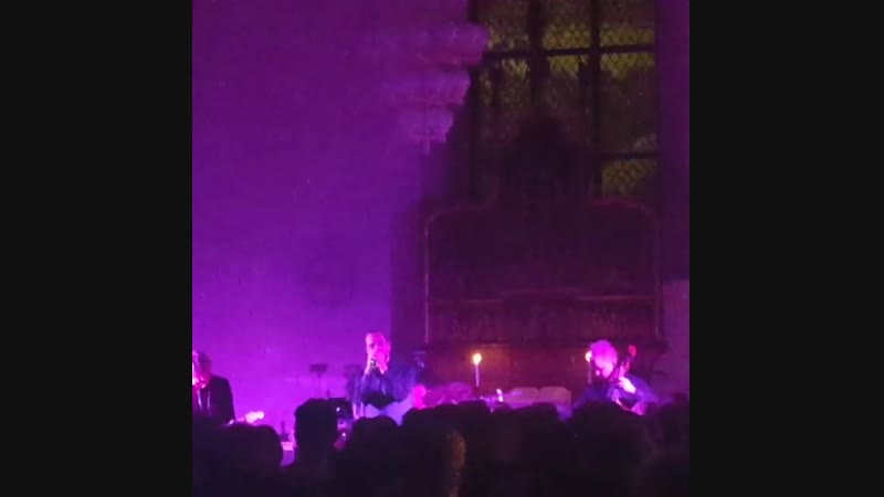 2018 12 22 jp leppäluoto varpunen jouluaamuna (hämeenlinna)